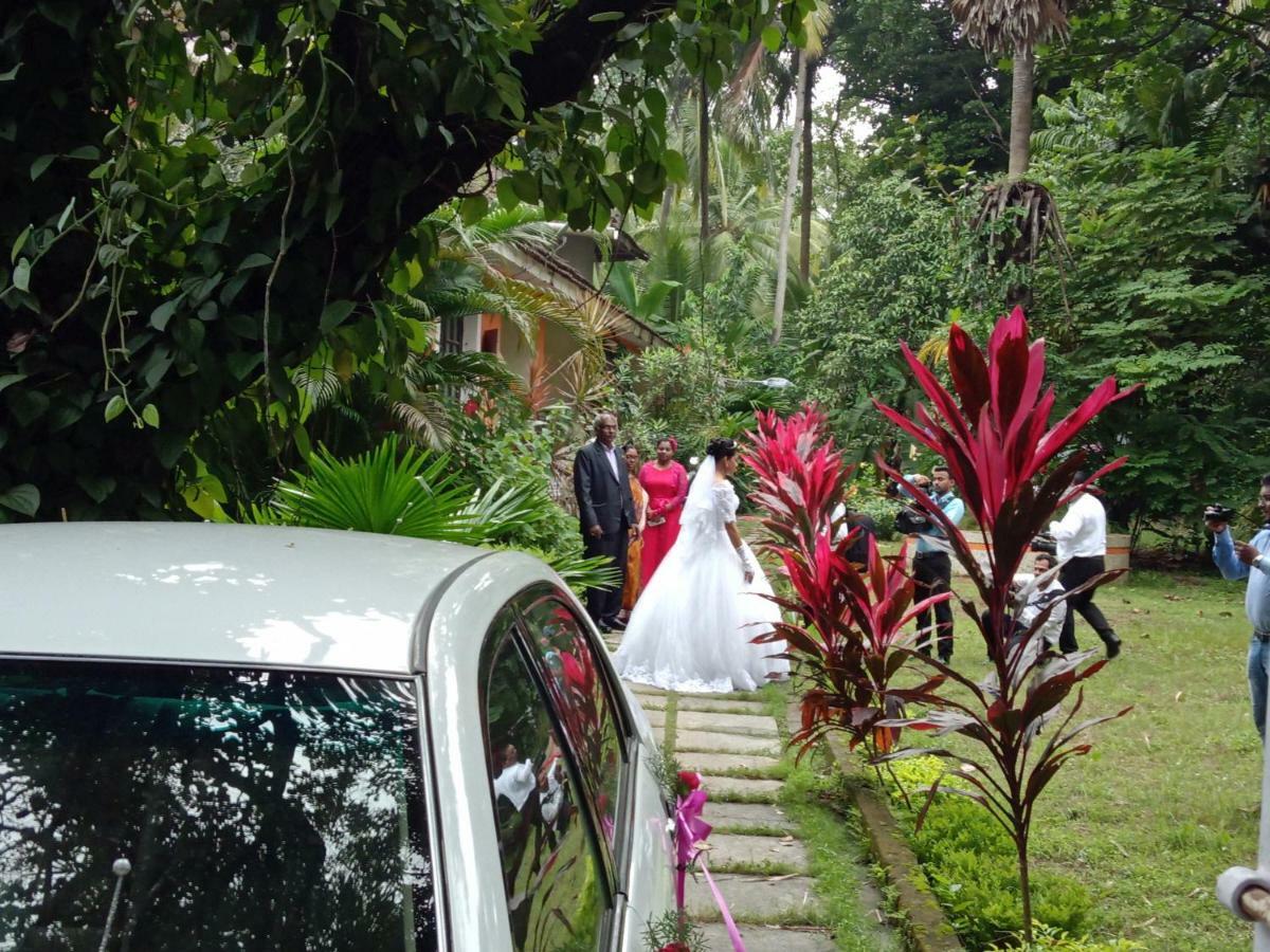 Country Side Inn Portuguese Guest House Cuelim Exterior foto